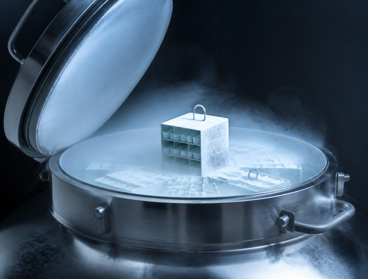 Cryogenic storage vessel with sample cassettes and cold vapour. Illustrative image.