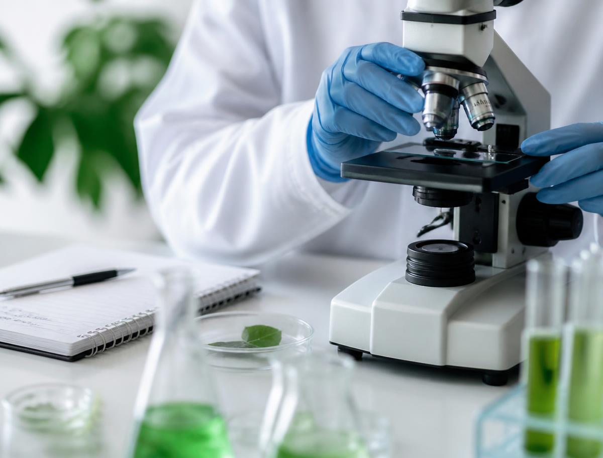 Gloved hands adjusting a microscope beside notes in a laboratory. Illustrative image.